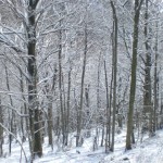 Neve Campo dei Fiori