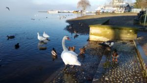 Lago di Varese